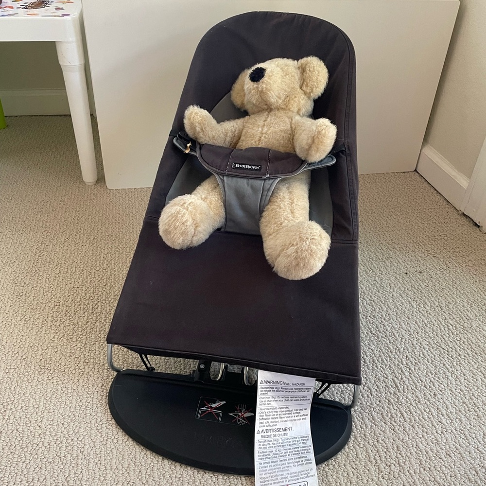 Baby bjorn bouncer